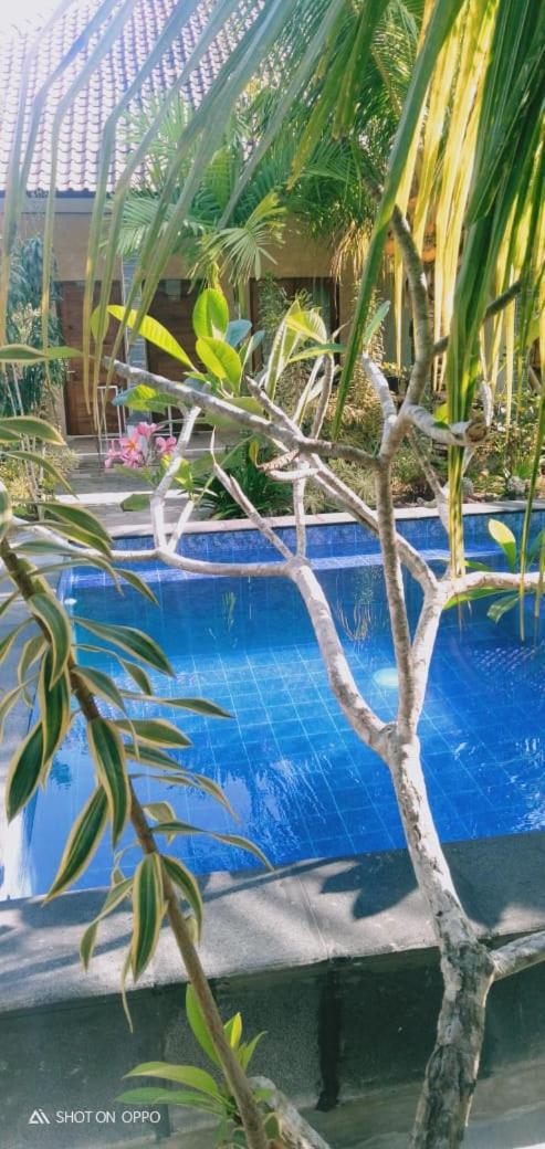 Belong Home Stay Lembongan Exterior foto